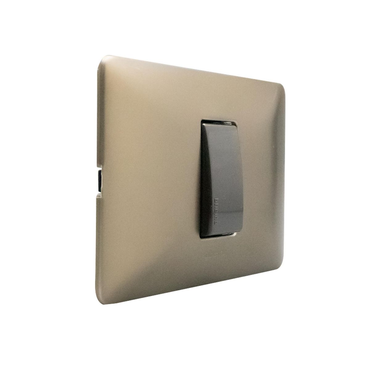 BTICINO - Interruptor simple 9/24 Titanio Matix