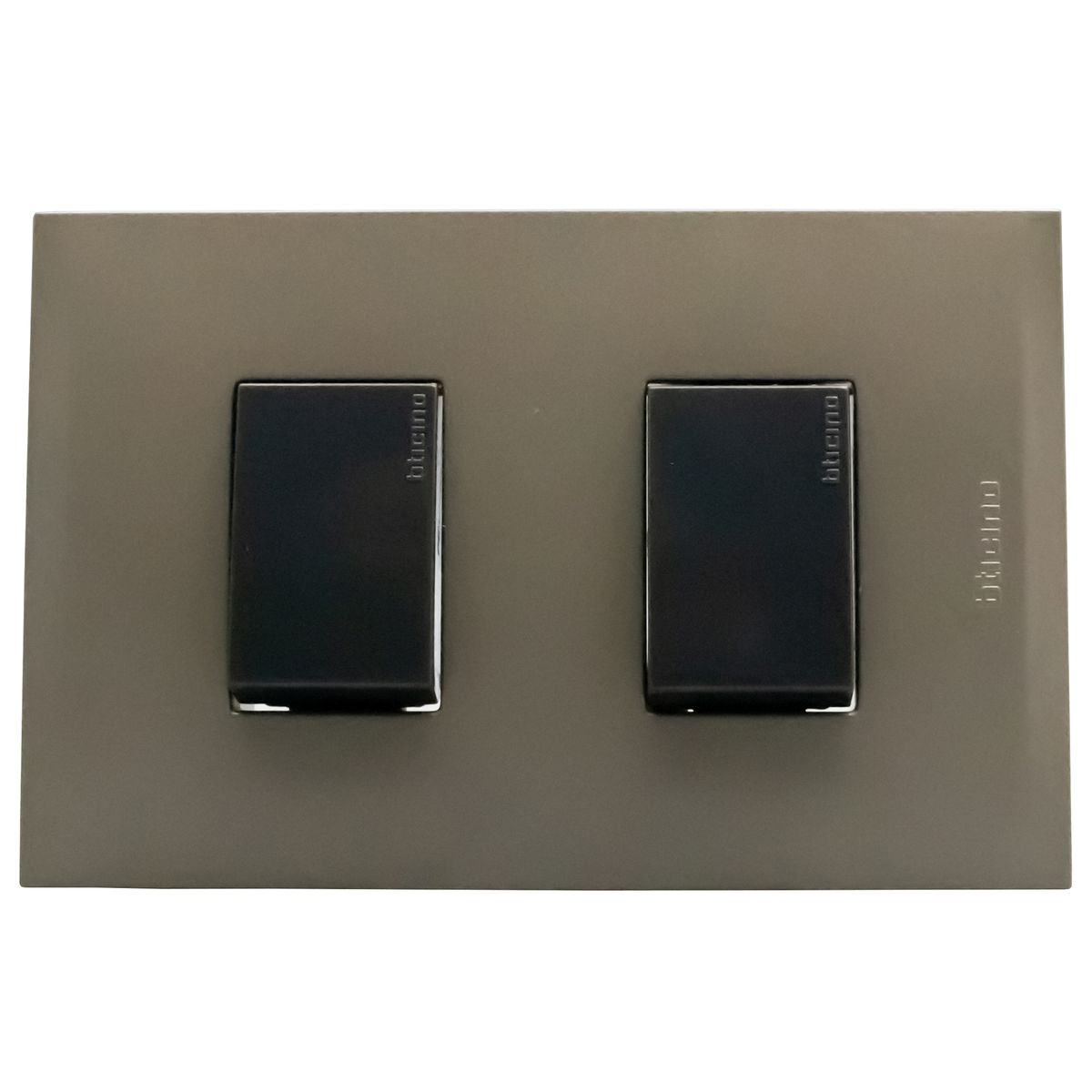 BTICINO - Interruptor doble conmutador (9/24) Terra Nobile