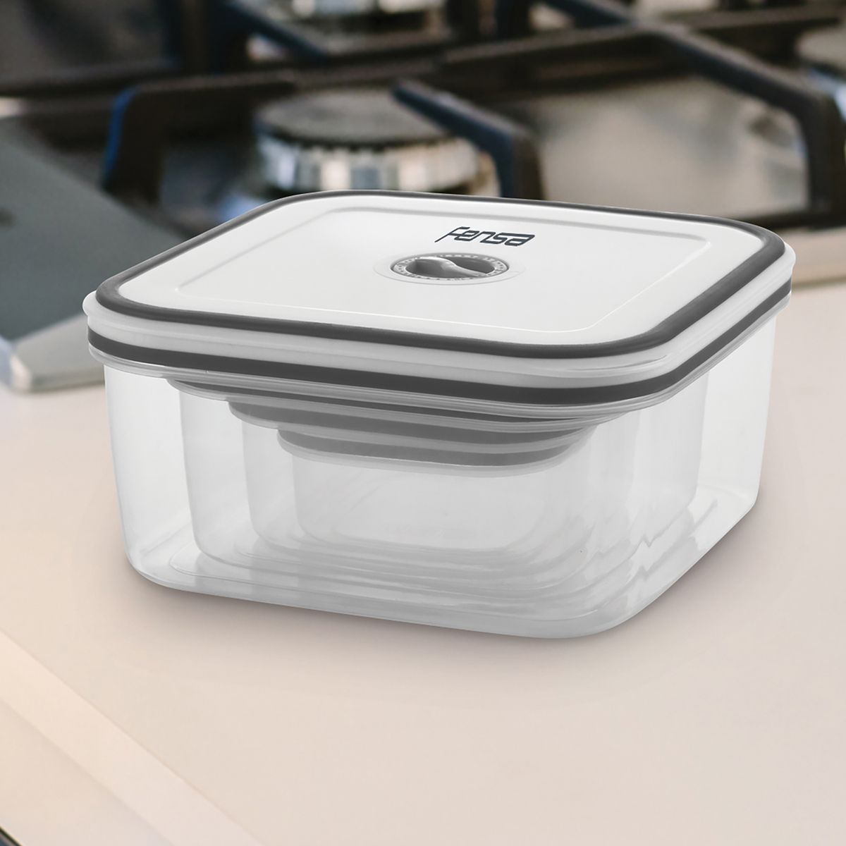 FENSA - Set 4 Contenedores Plásticos 230/500/1100/2100 ml Gris