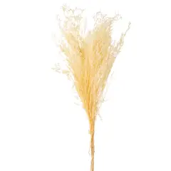 SOHOGAR - Ramo Stoebe Preservado 70 cm Beige