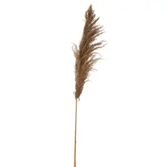 SOHOGAR - Vara de Pampas 140 cm Café