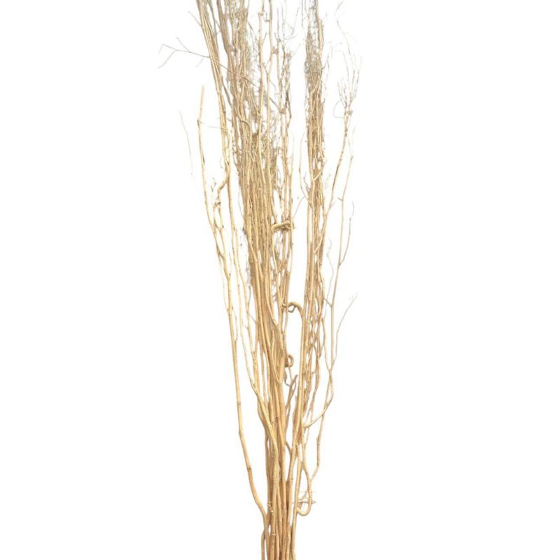 SOHOGAR - Vara Sauce Preservado 100 cm Beige