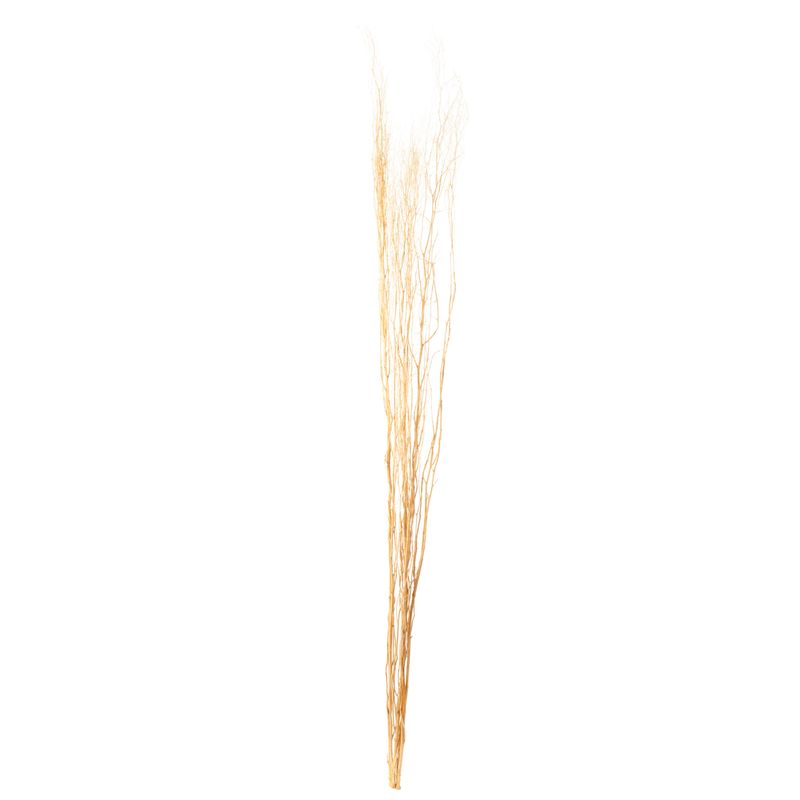 SOHOGAR - Vara Sauce Preservado 150 cm Beige