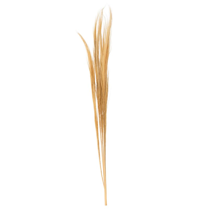 SOHOGAR - Vara Grass Preservado 120 cm Beige