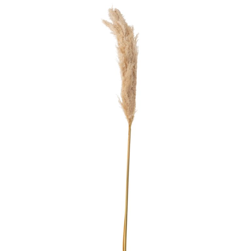 SOHOGAR - Vara de Pampas 140 cm Beige