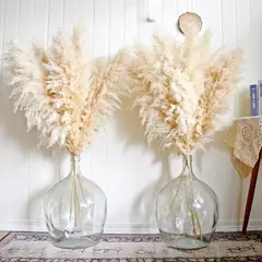 SOHOGAR - Vara de Pampas beige 140 cm