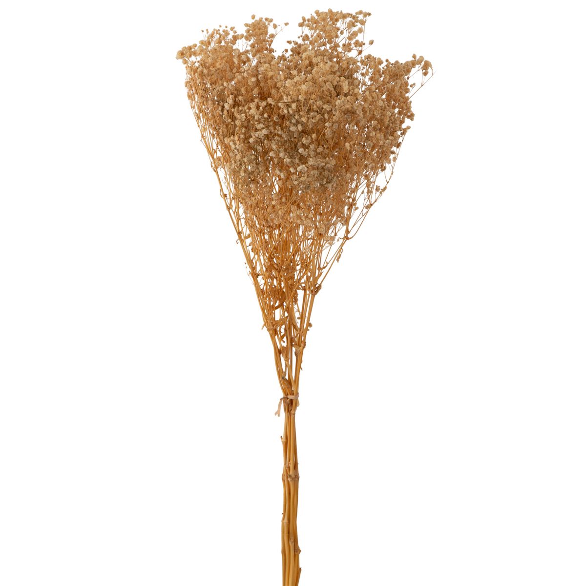 SOHOGAR - Ramo Gipso Preservado 75 cm Beige