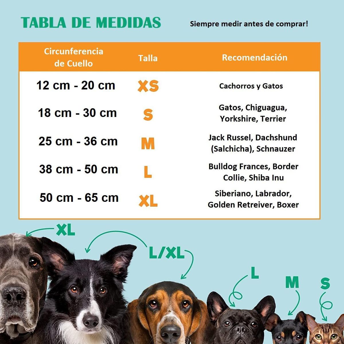 LERNEN - Collar Isabelino talla S