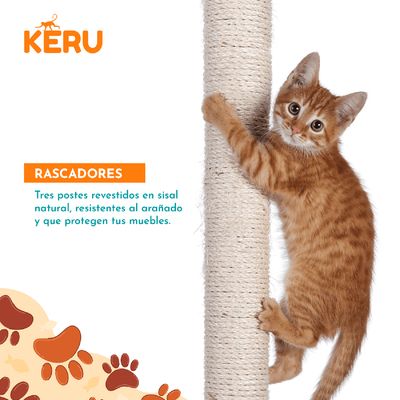 Imagen 2 del producto Torre castillo y rascador para gatos interactivo gris