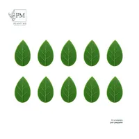 Set 10 Clips para plantas