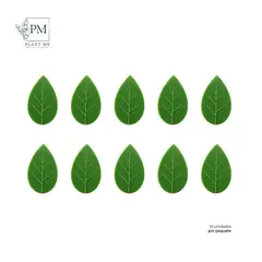 PLANT ME - Set 10 Clips para plantas