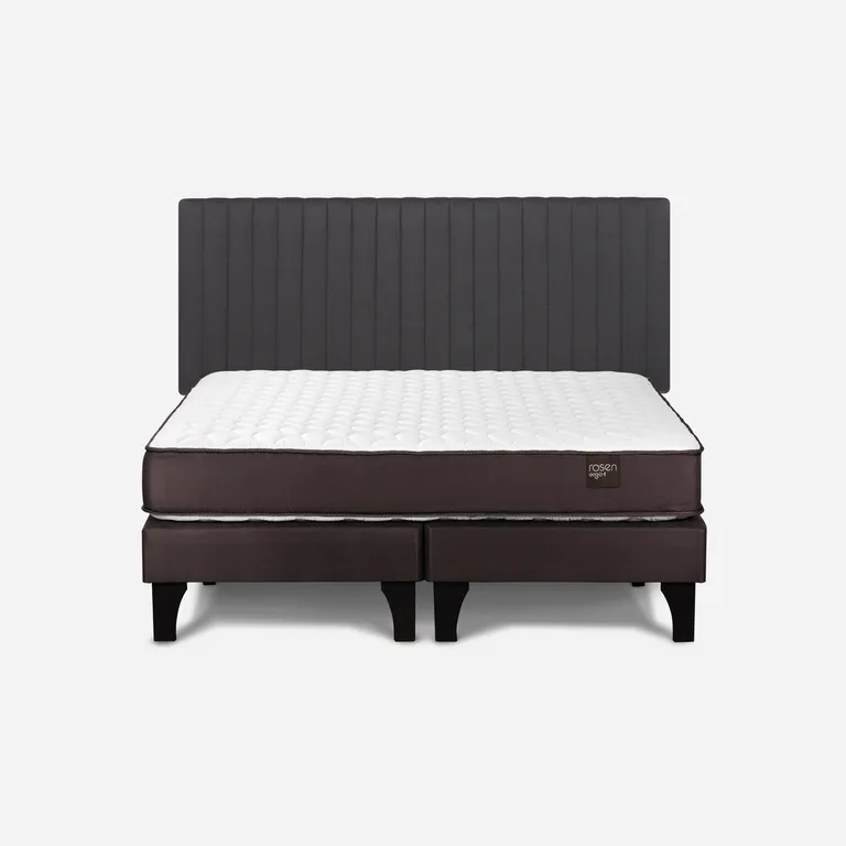 Cama 2 Plazas Europea New Ergo T + Respaldo