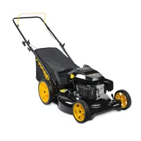 Cortadora De Pasto Gasolina 2 En 1 173 Cc Ancho Corte 53 Cm