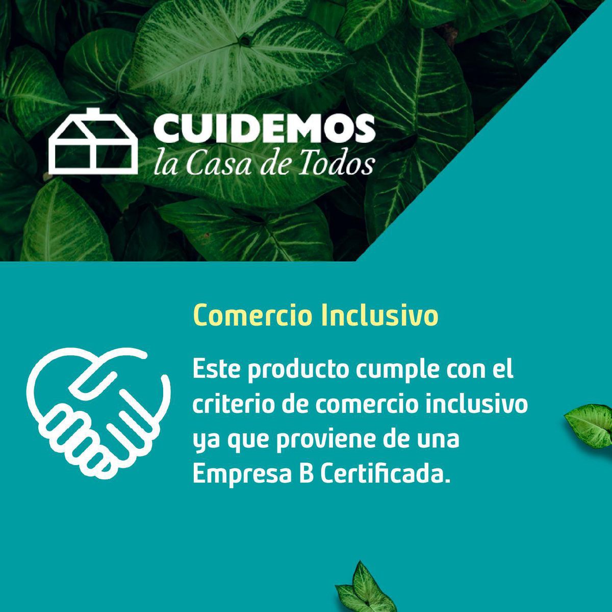 ILKO - Batería de Cocina 7 Piezas Aluminio Reciclado Verde