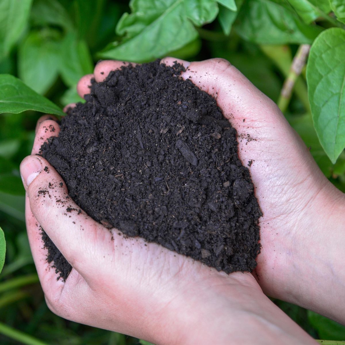 ARMONY - Tierra para macetero 6 litros bolsa