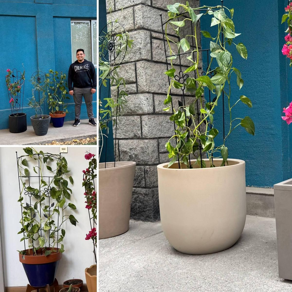 POTTERY - Soporte planta trepadora