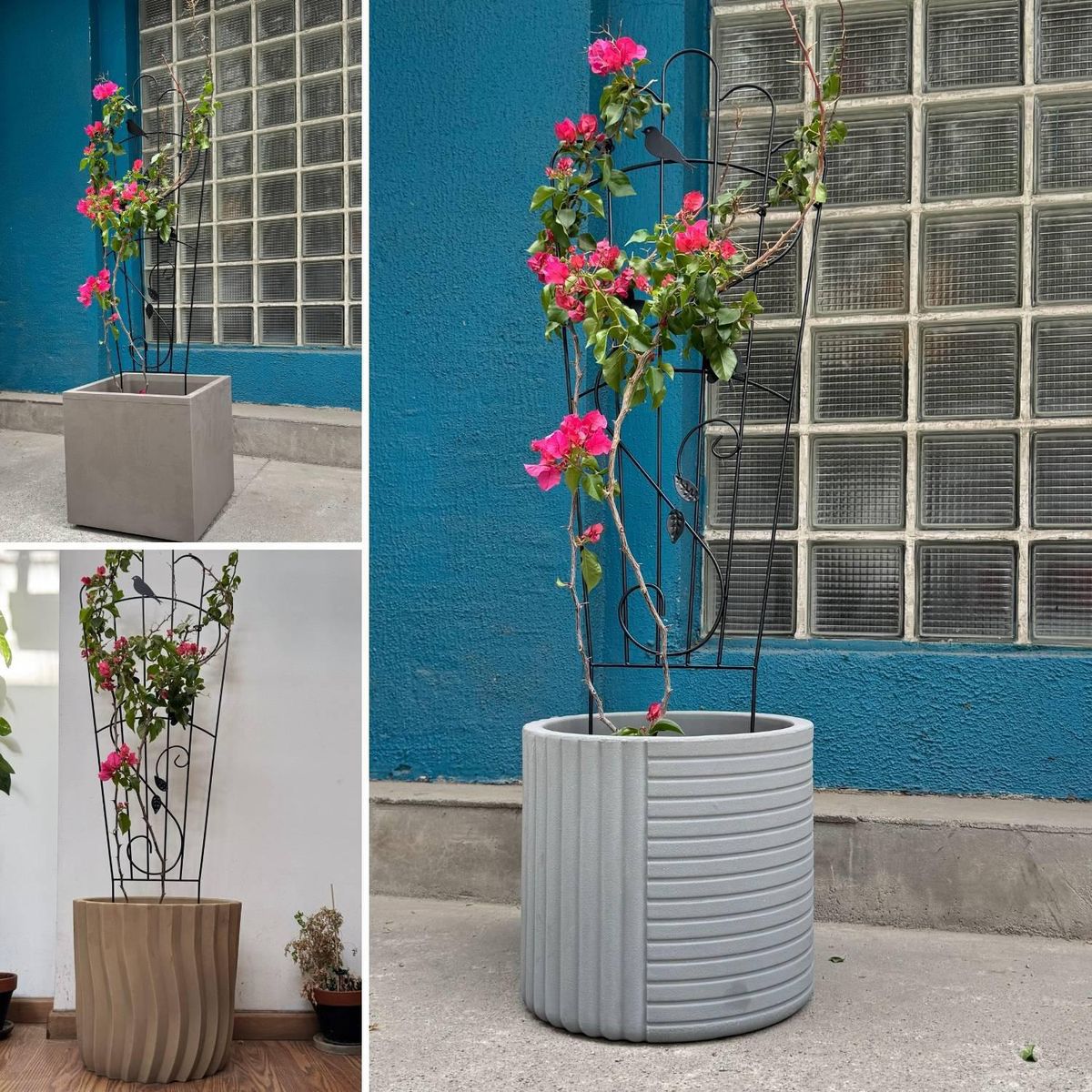 POTTERY - Soporte planta trepadora