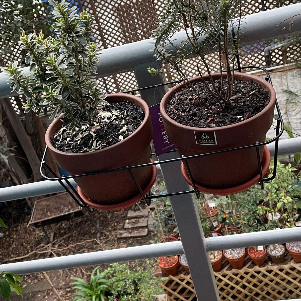 POTTERY - Portamaceta colgante mediano