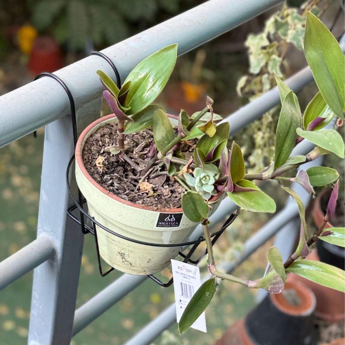 POTTERY - Portamaceta colgante pequeño