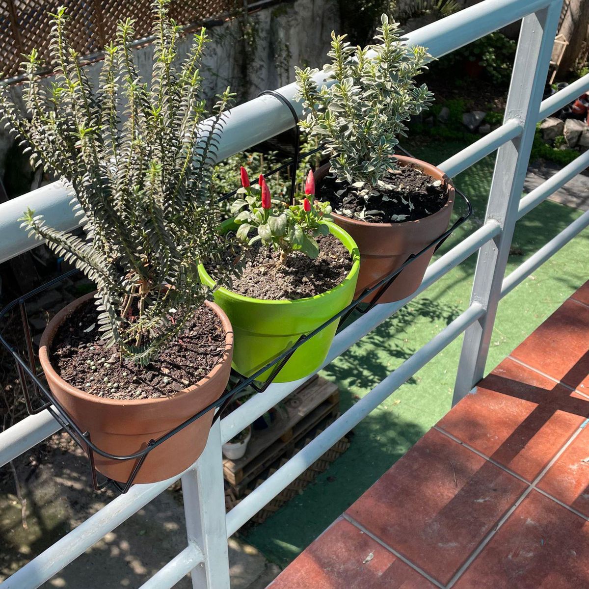 POTTERY - Portamaceta colgante grande