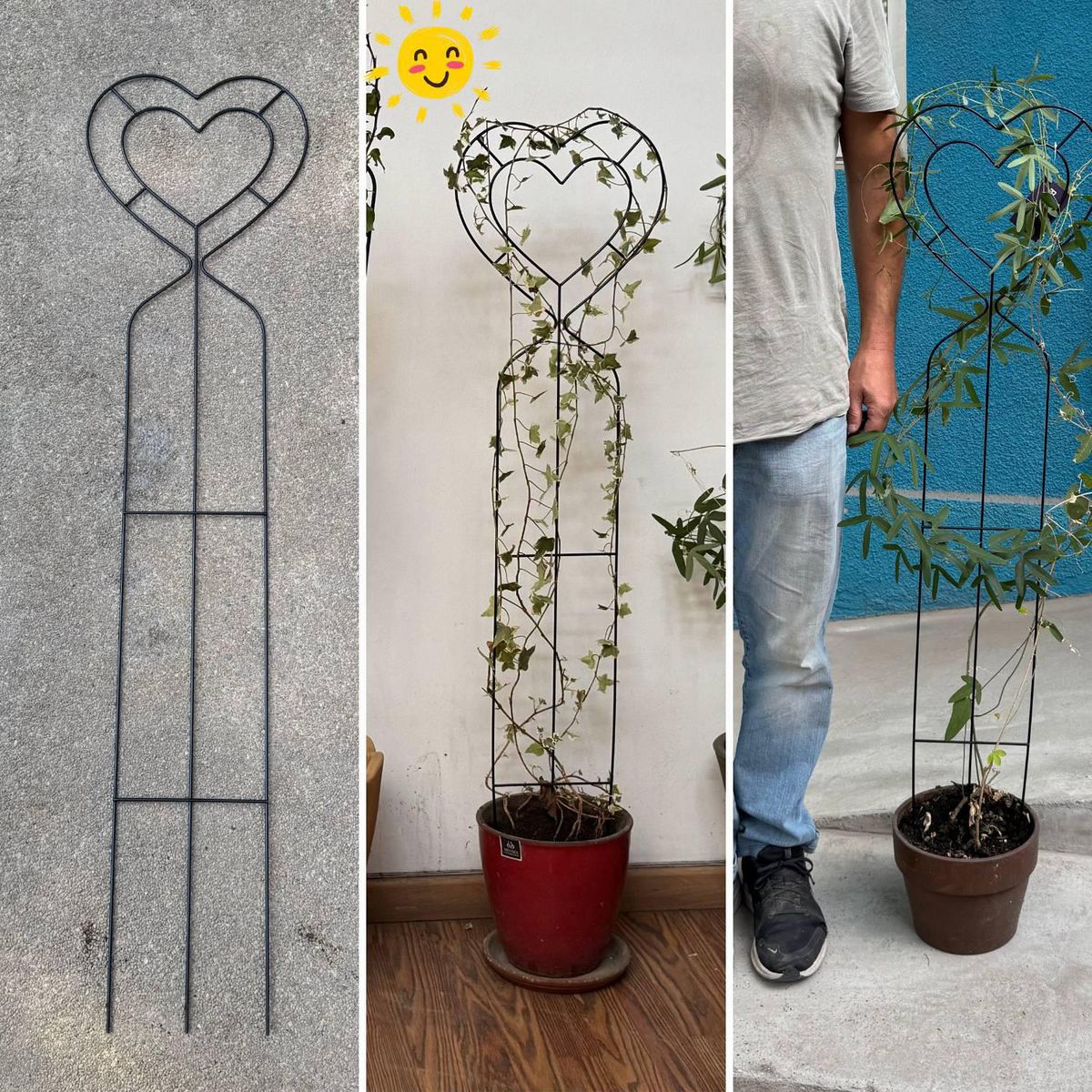 POTTERY - Soporte planta trepadora