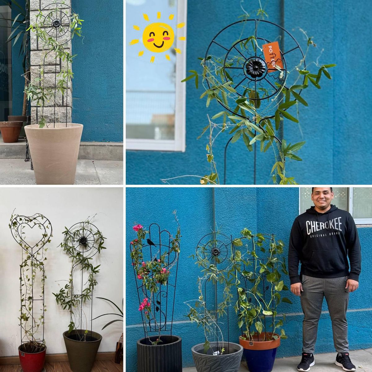 POTTERY - Soporte planta trepadora