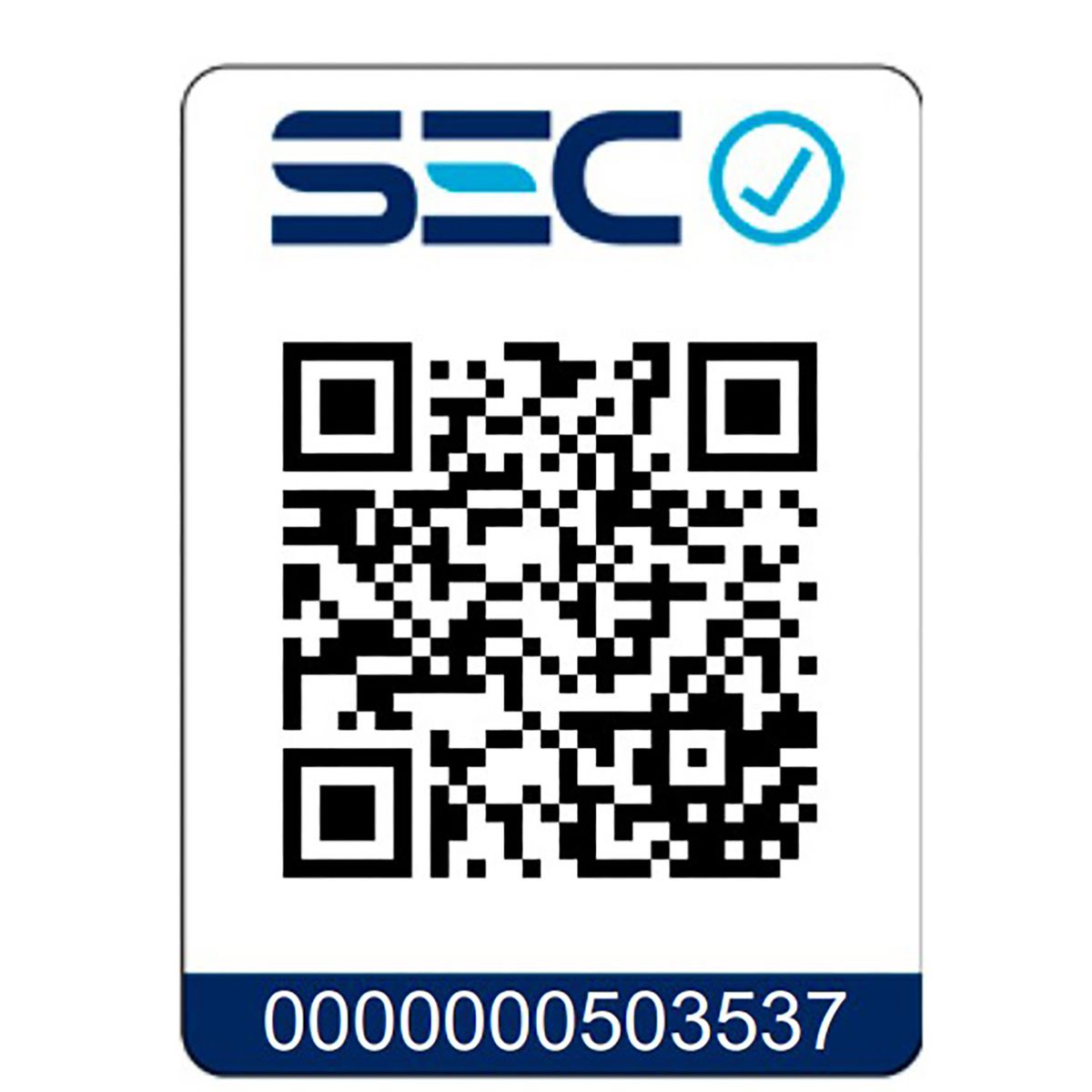 MAKITA - Kit taladro percutor 10 mm 12 V 12 V