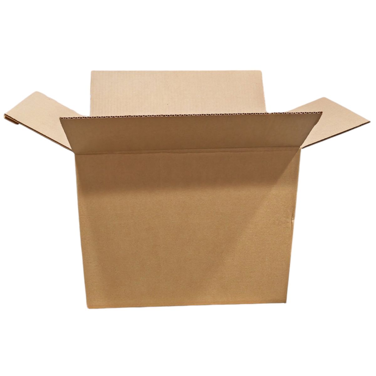 TRISS - Pack Caja Envio Delivery 10 Un 18X10X8 Cm