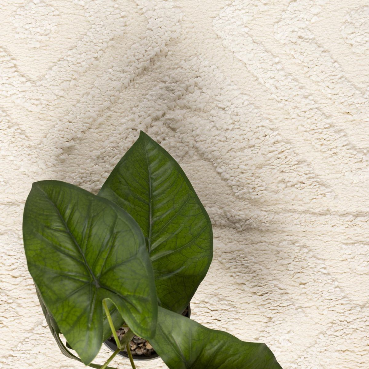 DIB - Alfombra Otawa 80x120 cm Crema