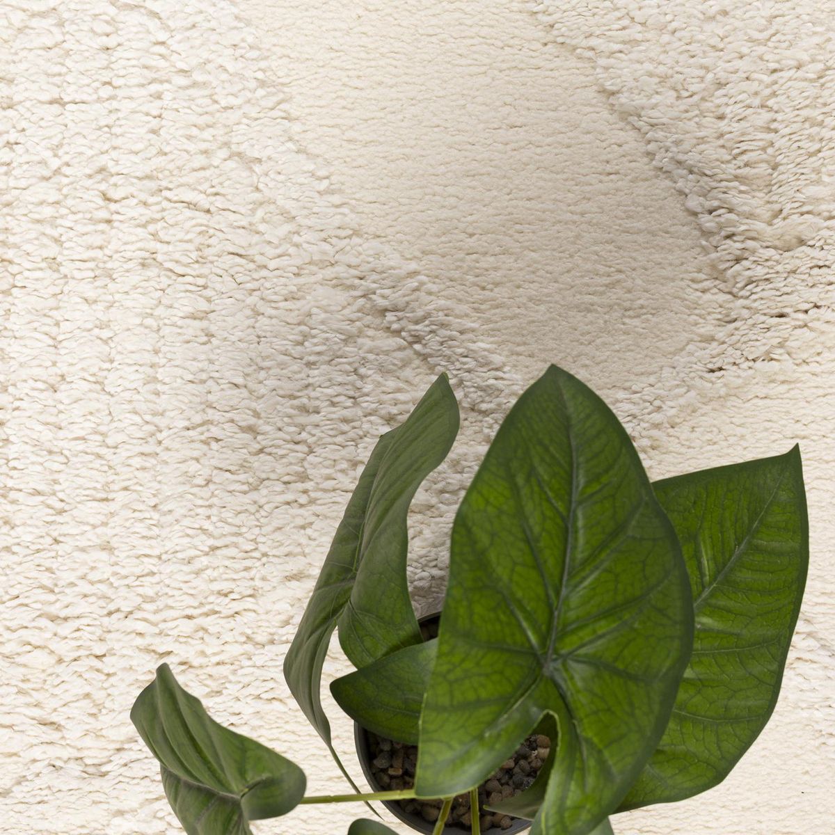 DIB - Alfombra Grande Otawa 200x290 cm Crema