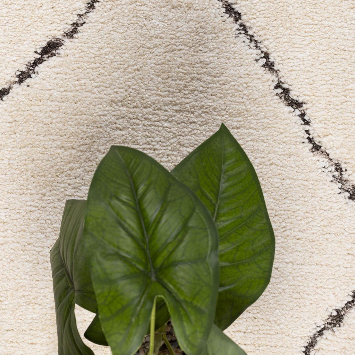 DIB - Alfombra Origen 80x120 cm Crema