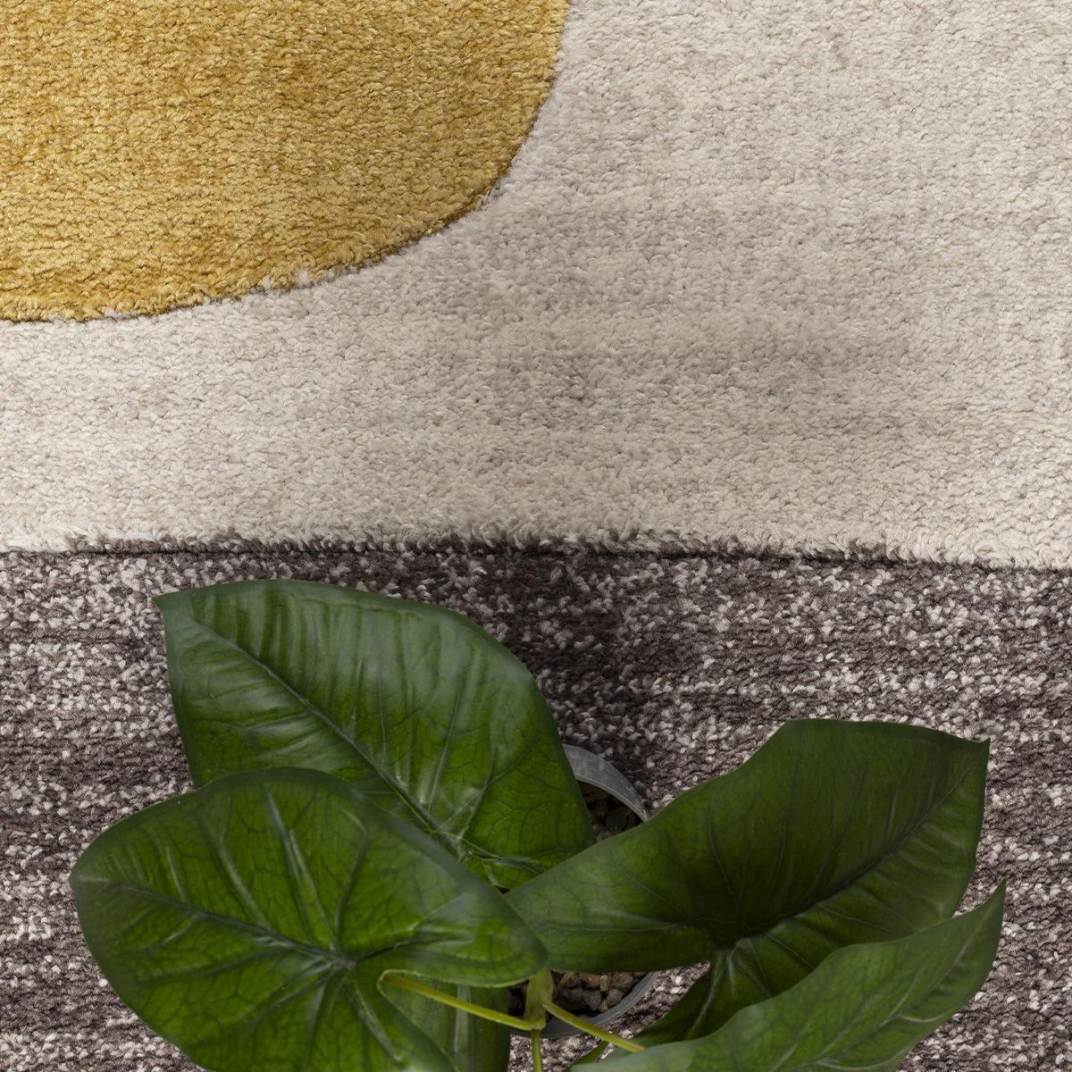 DIB - Alfombra Orleans 160x230 cm Café