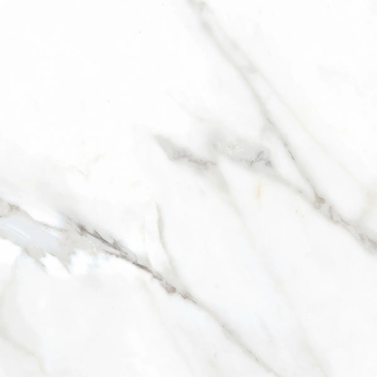 CORDILLERA - Cerámica 61x61 cm Venice bianco Blanco 2.58 m2