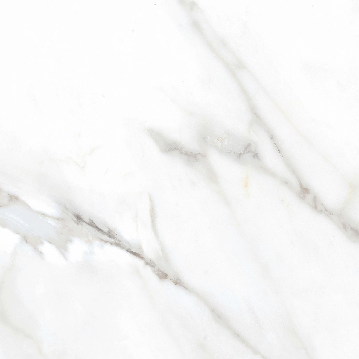 CORDILLERA - Cerámica 61x61 cm Venice bianco Blanco 2.58 m2