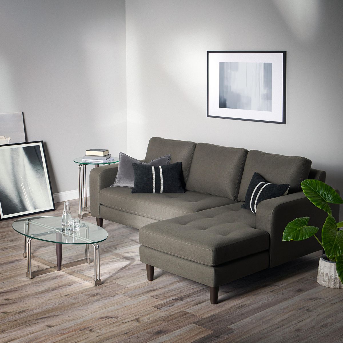 ROSEN - Seccional Genova derecho Grafito