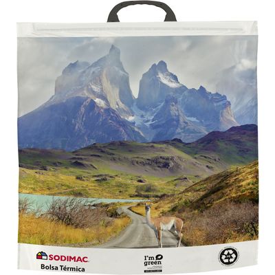 Imagen 2 del producto Bolsa térmica Patagonia