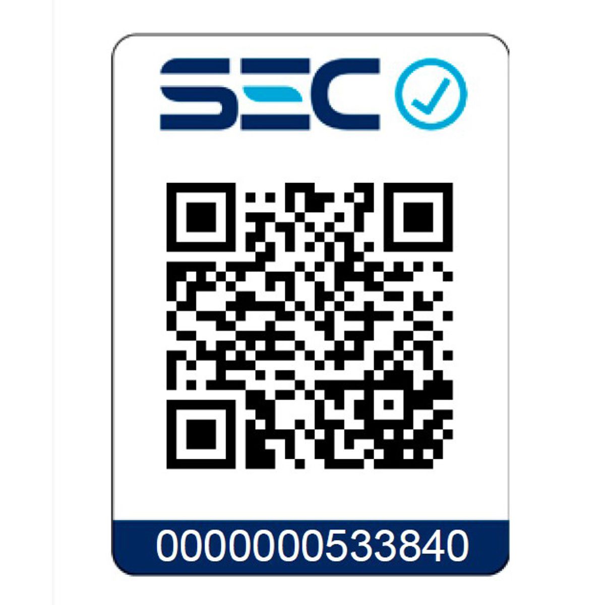 BP ILUMINACION - Luminaria de emergencia 60 leds 1000 lumenes GS60 plus