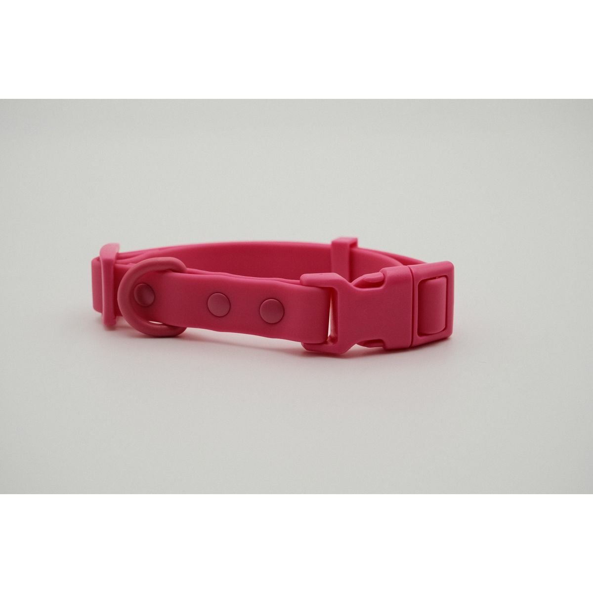 Collar Para Mascotas Talla M Special, marca PETIZOOS - Foto Principal