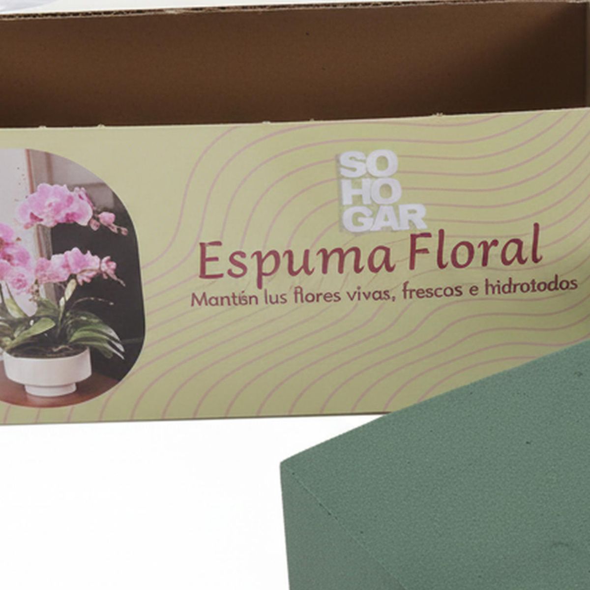 SOHOGAR - Floral Para Arreglos Flores Naturales 23X10. 8X7. 3 Cm