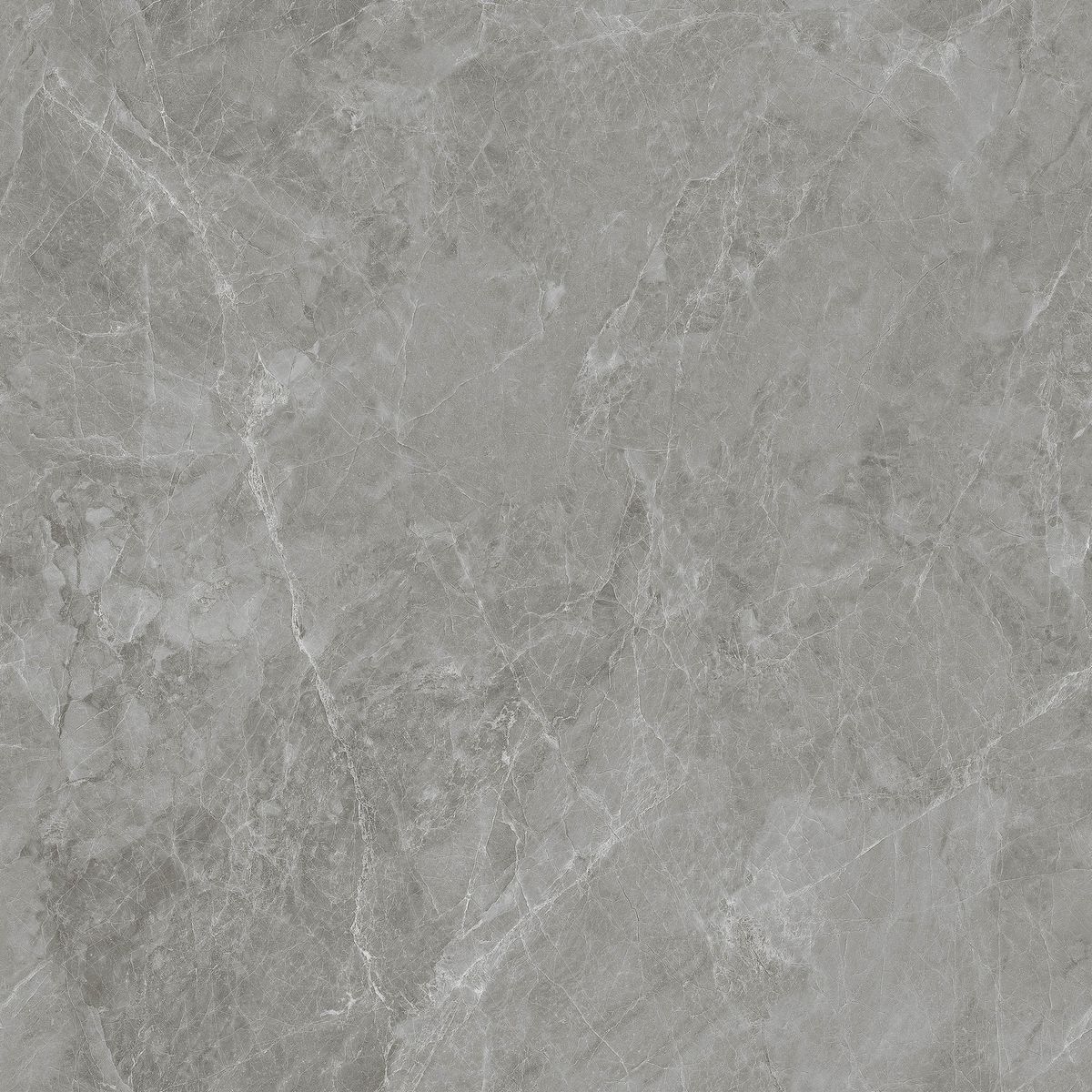 CORDILLERA - Gres Porcelanato 60x60 cm Graffito Gris 1.44 m2