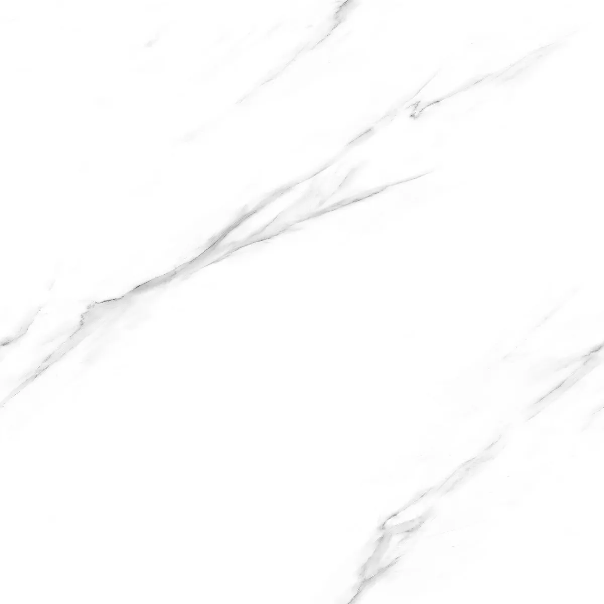 CORDILLERA - Gres Porcelanato 60x60 cm Statuario Blanco 1.44 m2