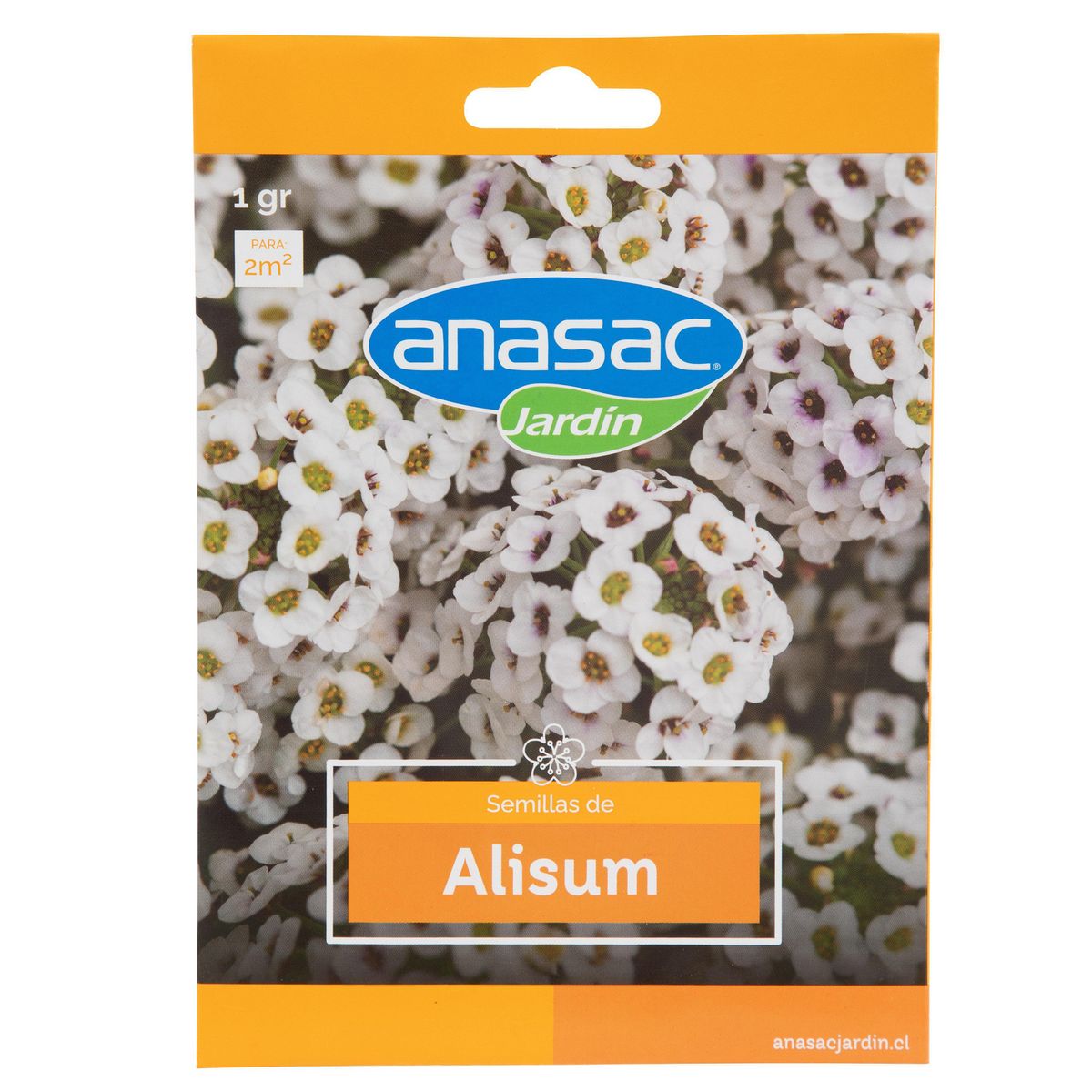ANASAC - Semilla de flor alisum 1 gr Sachet