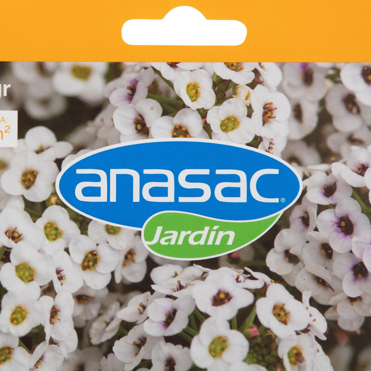 ANASAC - Semilla de flor alisum 1 gr Sachet