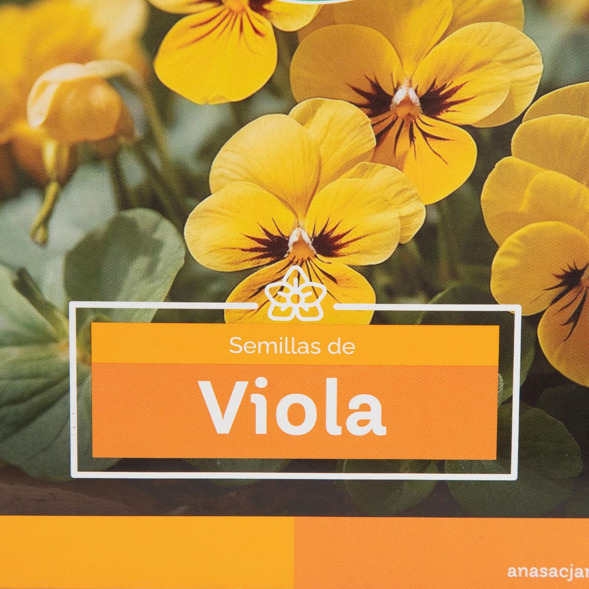 ANASAC - Semilla de flor viola 1 gr Sachet
