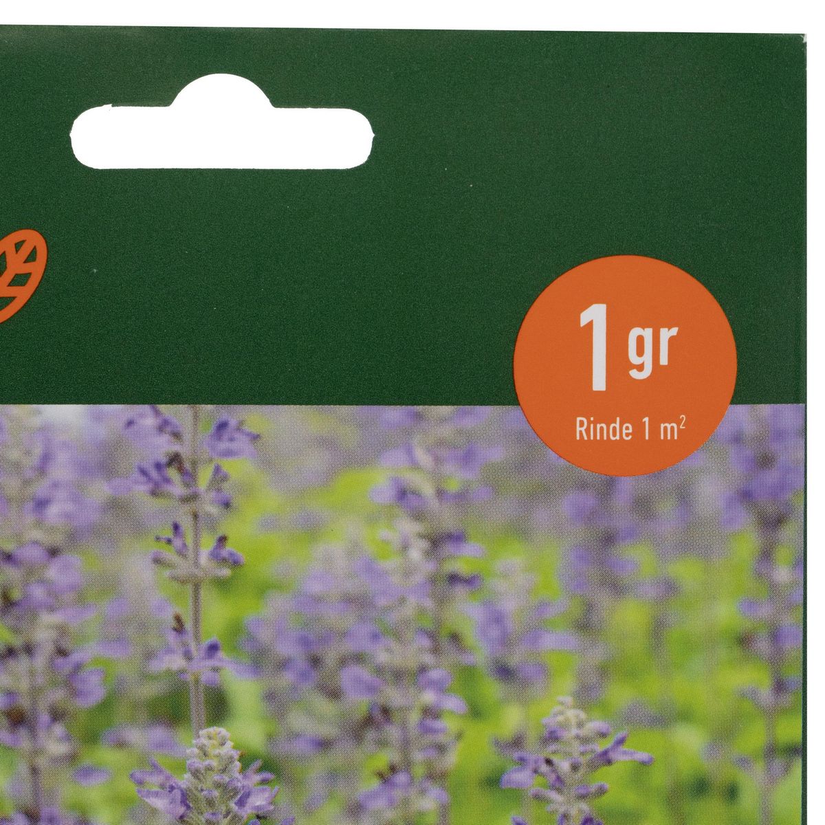 ERGO - Semilla de salvia para infusión 1 gr Sachet