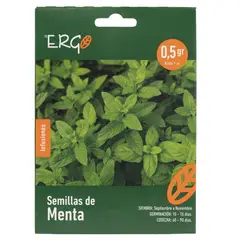 ERGO - Semilla de mente para infusión 0.5 gr Sachet