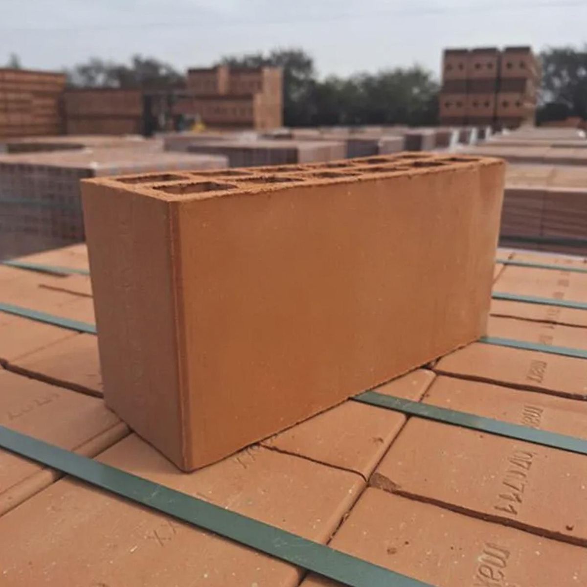 GENERICO - Ladrillo Chico Oso 10x29x14 cm