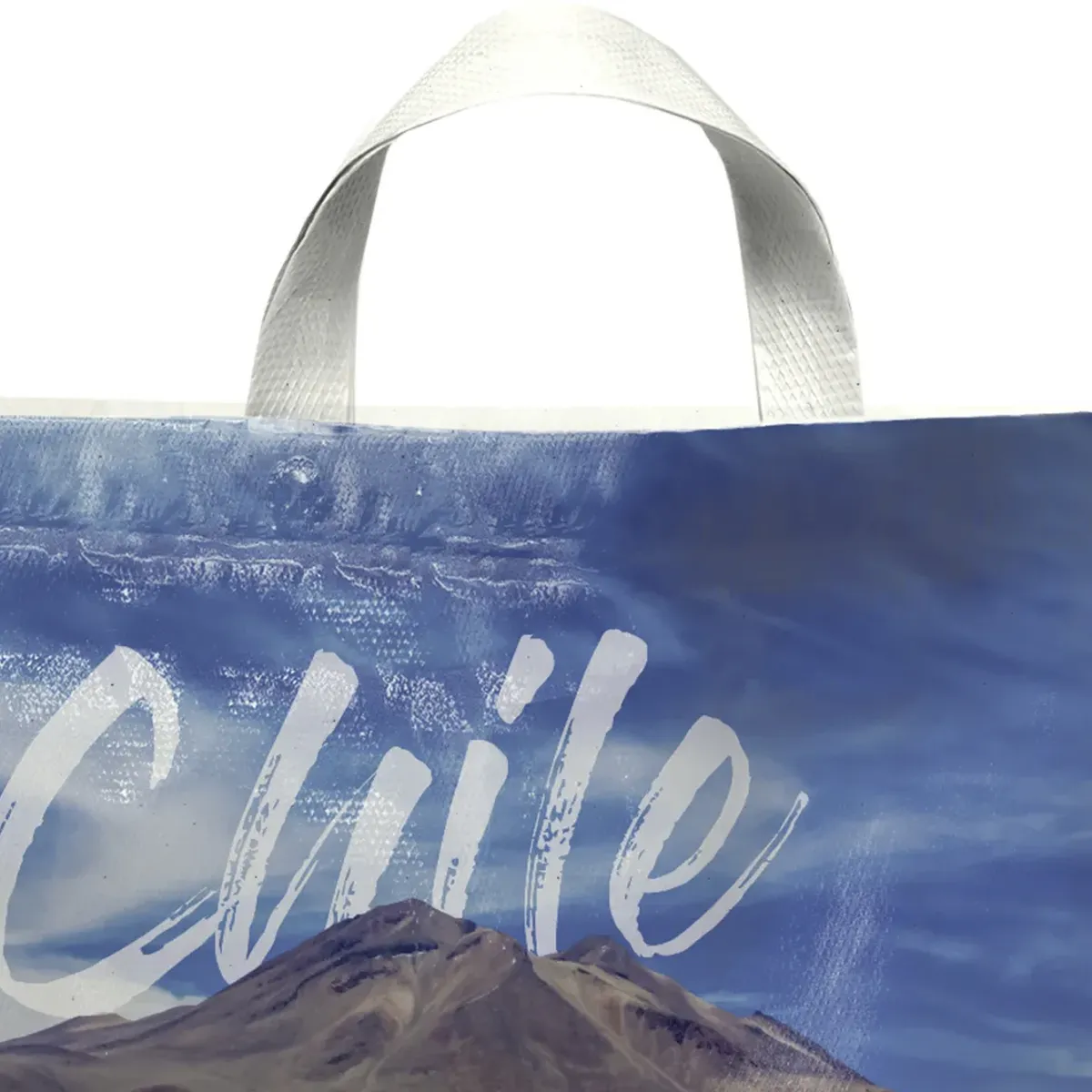 JUST HOME COLLECTION - Bolsa Durabag M Laguna