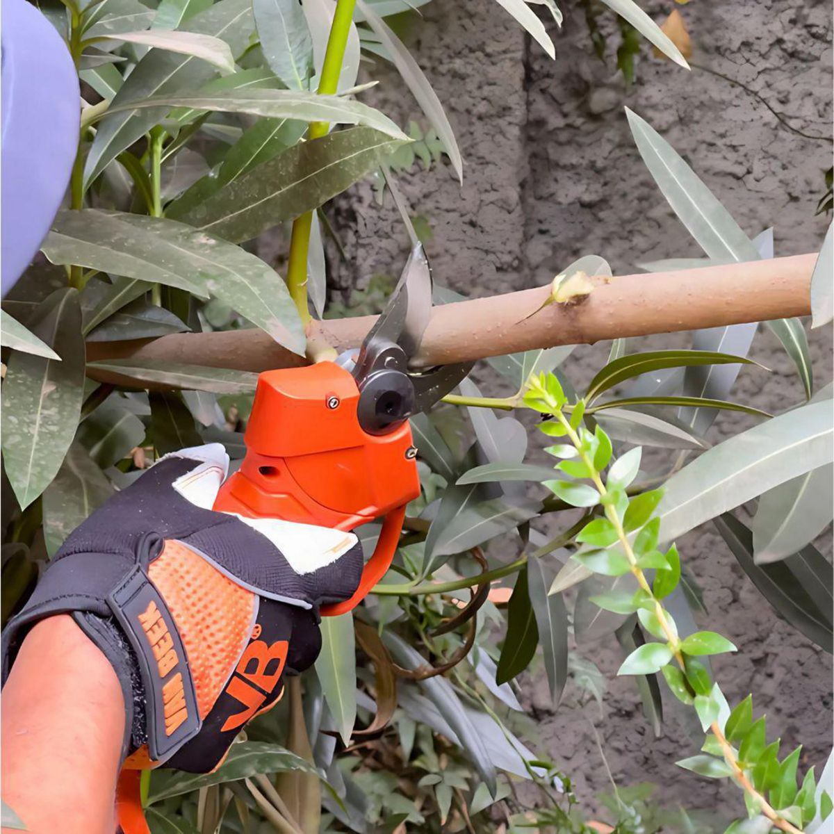 VAN BEEK - Tijera Podadora Inalámbrica 25mm 16,8V 4hrs + 2 baterías + maletín