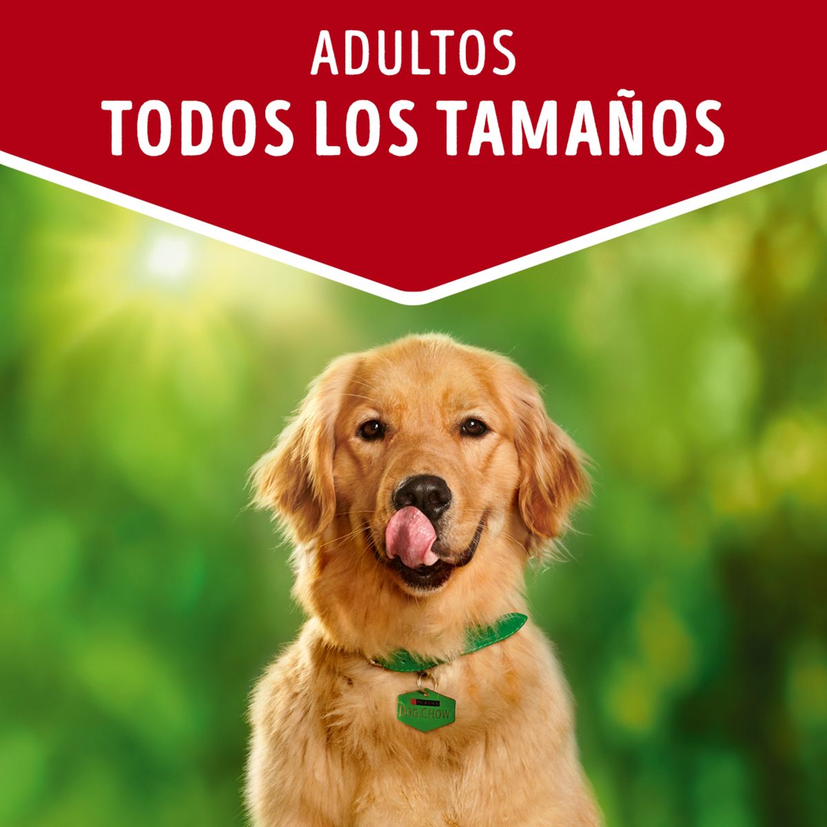 DOG CHOW - Alimento húmedo para Perro Adulto Carne 